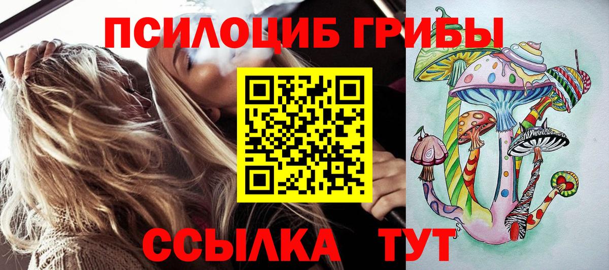 Псилоцибиновые грибы GOLDEN TEACHER  Вход с VPN  Печора  Псилоцибиновые грибы MAGIC MUSHROOMS 