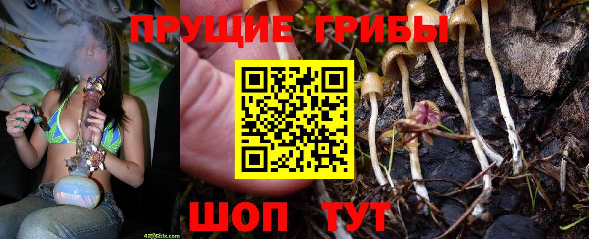 Галлюциногенные грибы Cubensis Печора